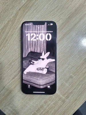 iphone 13 pro max 1