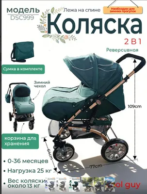 Коляска для детей сезонная современный дизайн 1
