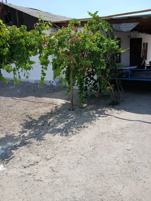 Продаётся дом срочно! 1