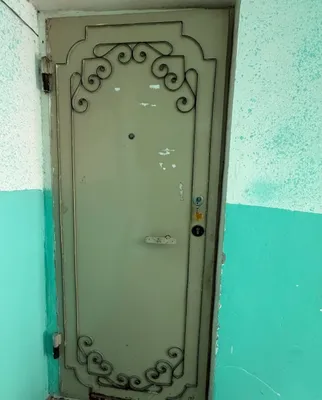Железный дверь в хорошем состояние 1