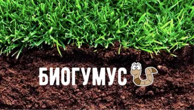 Биогумус «Чернозём» — высокое качество, гарантия эффективности 1