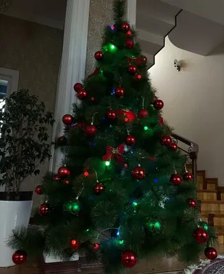 Новогодняя елка . Yangi yilli archasi 1
