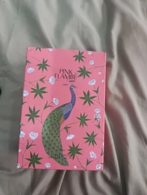 ZARA Pink Flambe 1