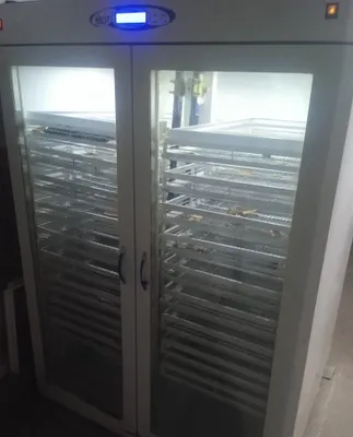 Инкубатор Nest автомат 1