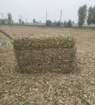 Продаётся арахисовый пресс