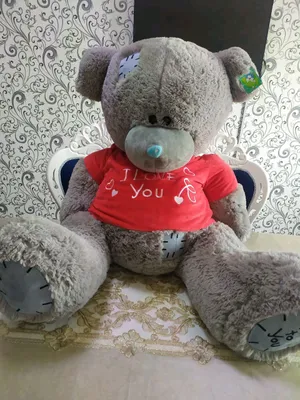 Оригинальный новый мишка Teddy