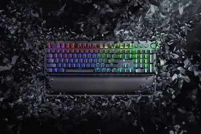 Razer Blackwidow Elite 1