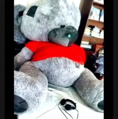Yumshoq teddy sotuvda