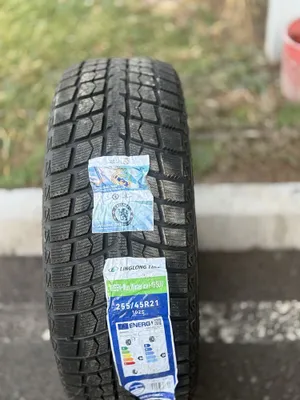 Зимние шины для Leapmotor 255/45R21 1