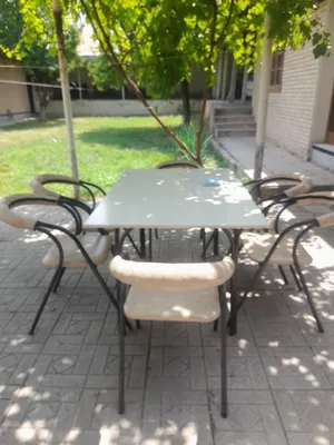 Продаётся молочный камелек, 100$ 1