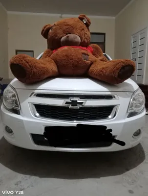 Teddy katta ayiq yangi 1