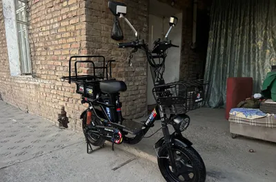 Pro Moto Elektronni skuter 1