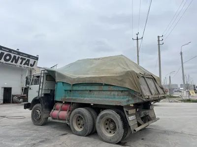 Klines sheben qum chinaz bluga sariq turpoq gisht poyma 1