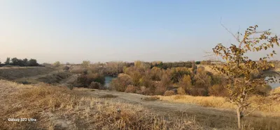 Земельный участок 10 Га с построением 1