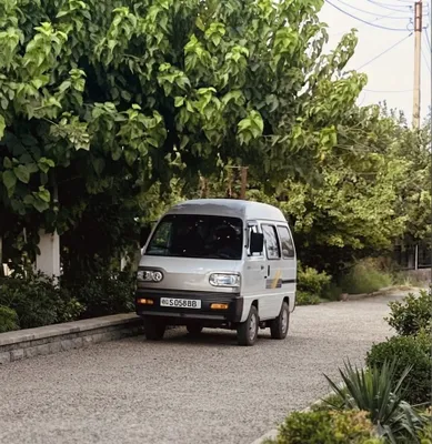 Damas 2024 gazi bor poligi bor