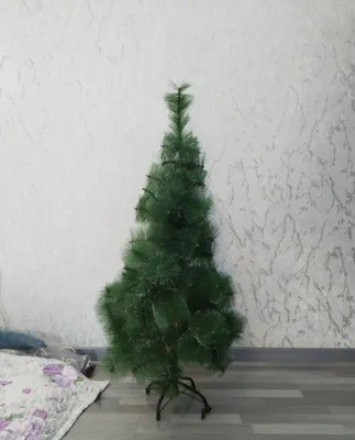 Archa sotiladi. Holati a’lo 1