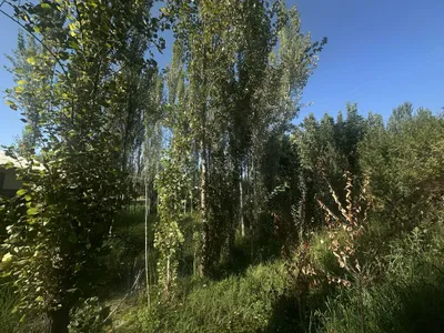 Продаётся участок, 6 соток, 7000 1