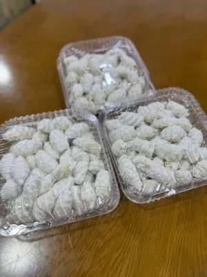 Тающее во рту варёное квалифицированное рагалики 1