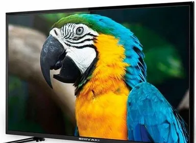 Телевизор Shivaki 49/9000, 49 дюйм (124 см), Full HD 1