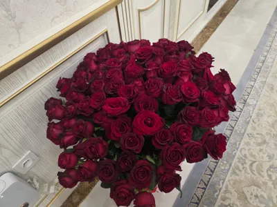 голландский розы 2