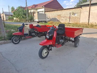 муравей сотилади дакументи бор 1