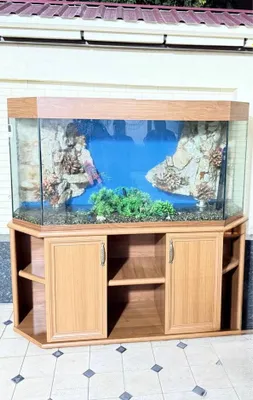 AKVARIUM SOTILADI 1