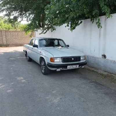 Volga — GAZ 31029 1