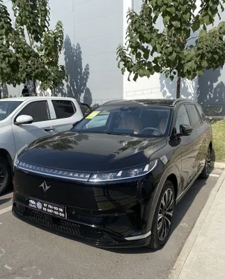 Dongfeng 008 EV 610km full variant 1