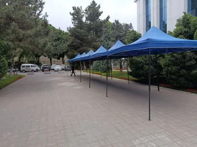 Zont naves palatka optom 1