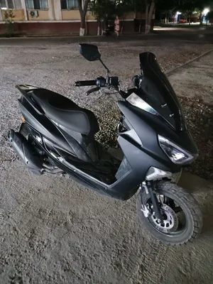 Bonvi tayger 2025