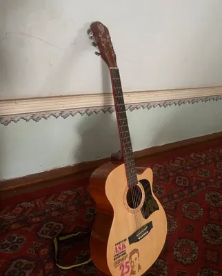 Akustik gitara zoʻr