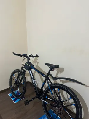 Velosiped 1