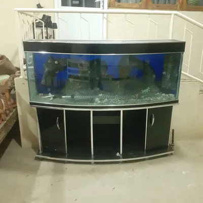 Продаётся аквариум, не использовался
