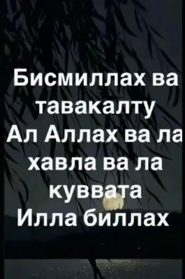 Трезвый водитель самарканд перегон 24/7
