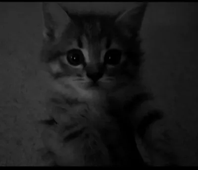 Hind porno birinchi kecha