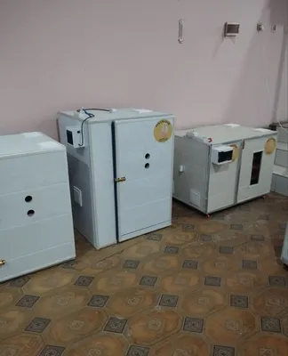 Икватор сатилади 430 талик 1