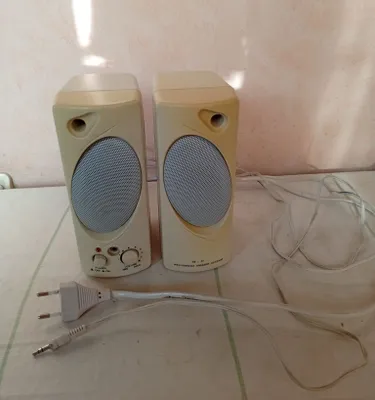 Audio karnaylar (multi-meadia speaker) 1