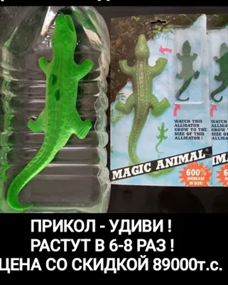 ПРИКОЛ - УДИВИ ! Тайвань.РАСТУЩИЕ крокодилы в 6-8 раз, со ск-кой 89тс 1