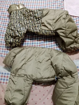 itlar uchun kombinezon
