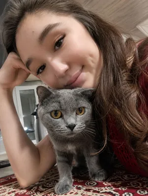 Нужен кот