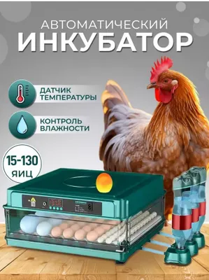 Автоматический инкубатор 128