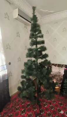Katta va kichik archa 1