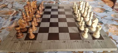 Шахматы.