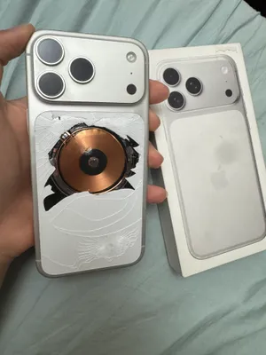 17 Pro Max, серебристый, 256 ГБ, SIM + eSIM 1