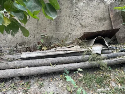 Дрова и ветки utin 1