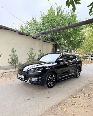 BYD chempion restaling 2024/605 1