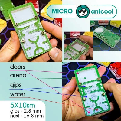 MICRO Формикарий, муравьиная ферма. Formikarium, chumolilar fermasi 1