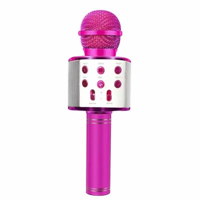 Микрофон WS-858 1