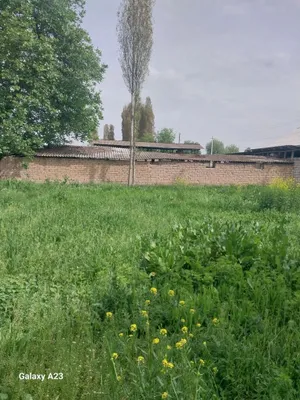 Продаётся участок 5 соток, Ташкентская область, Уртачирчик, Авангард МФЙ, СРОЧНО 1