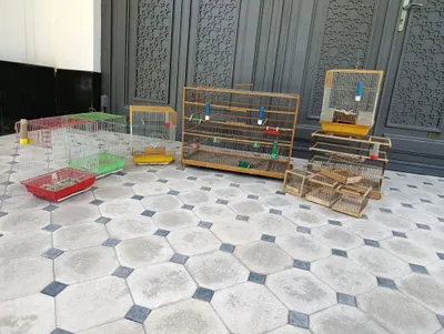 Продаются клетки, все за 600 тысяч сумов 1